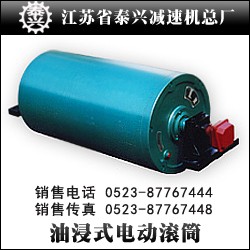 供应TJ型油浸式电动滚筒